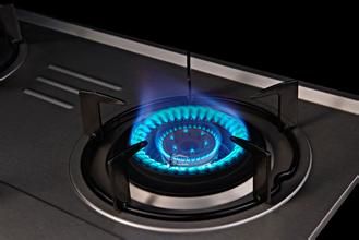 燃氣器具 燃氣器具